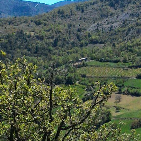 Willa Ferme La Viste La Roche-sur-le-Buis Zewnętrze zdjęcie